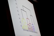 Lehigh University Math - Graph on the projector screen during the lecture